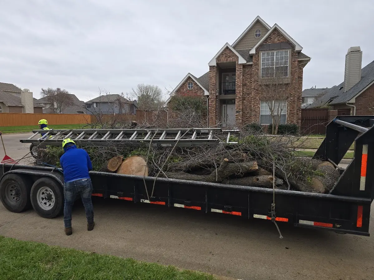 Expert Lot Clearing with proper safety equipment in Inez